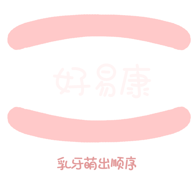 尚佳專業(yè)月嫂丨關(guān)于寶寶長(zhǎng)牙問(wèn)題，都在這里！
